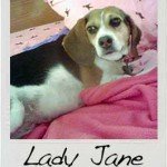 ladyjane